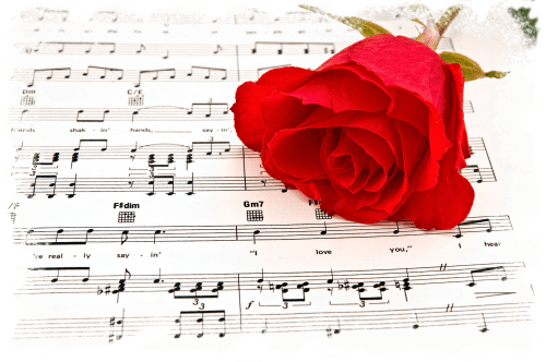 rosa e spartito3bis